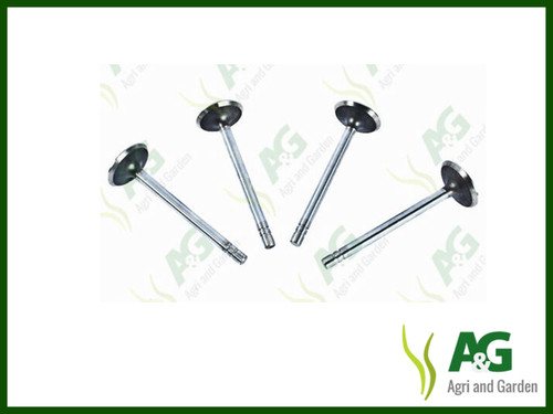 Inlet valve suits massey - inlet,