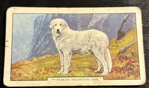 Gallaher cigarette card - cigarette,