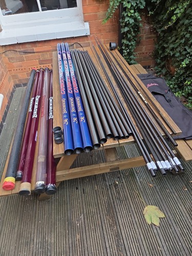 Carp roach pole browning - roach,