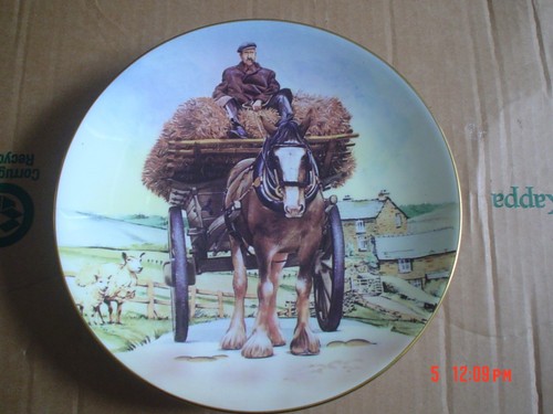 Coalport collectors plate - plate, the