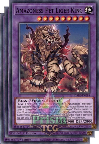 Playset 1st amazoness - ed,