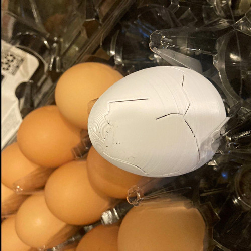 Fake chicken egg