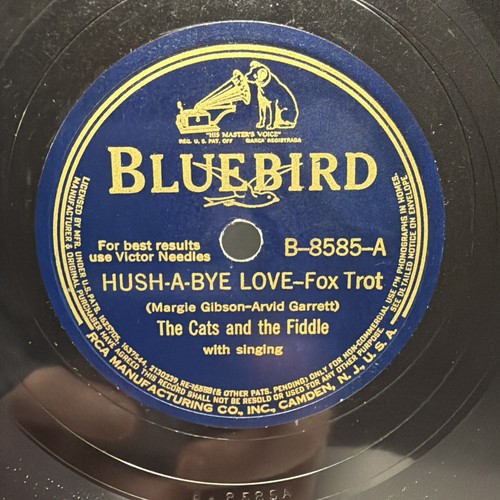 Rare the cats and - rare, fiddle