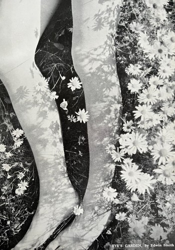 Nude study eve garden - study, 1944