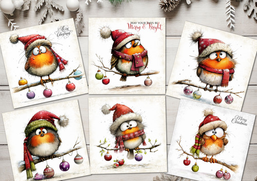 Christmas novelty robins - novelty, funny