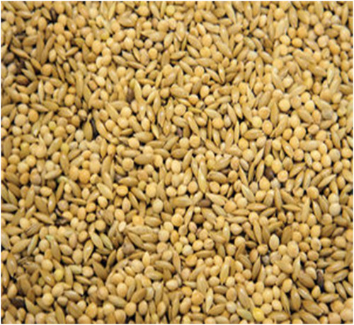 Colonels budgie seeds - colonels,