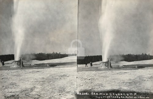 Bee hive geyser - geyser, y.n.p