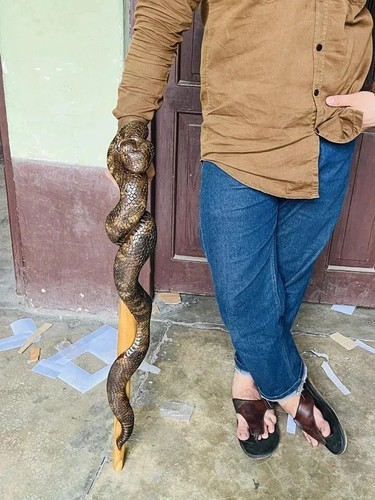 Wooden walking stick hand - walking,