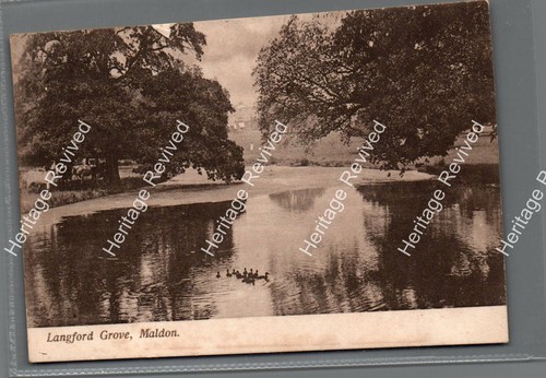 Vintage langford grove maldon - langford,