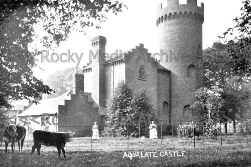 Bcs aqualate castle - aqualate,