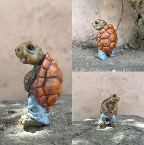 Tortoise turtle pee garden - tortoise,
