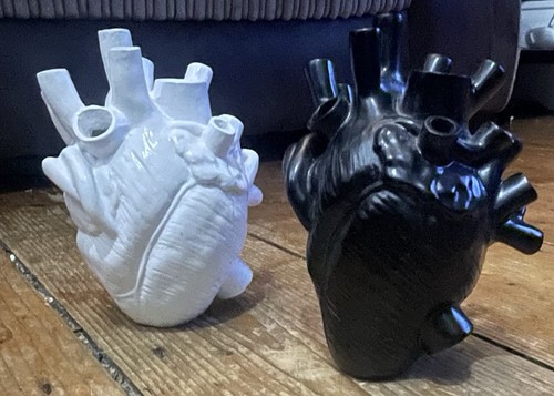 Two anatomic heart - anatomic, vases