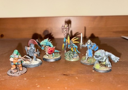 Painted skirmish warband d - warband, d&d