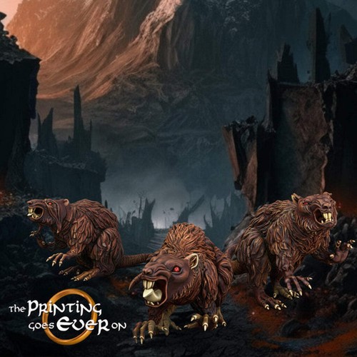 Giant rats - giant,