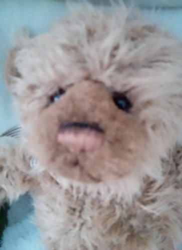 Teddy bear bearhouse bears - teddy,