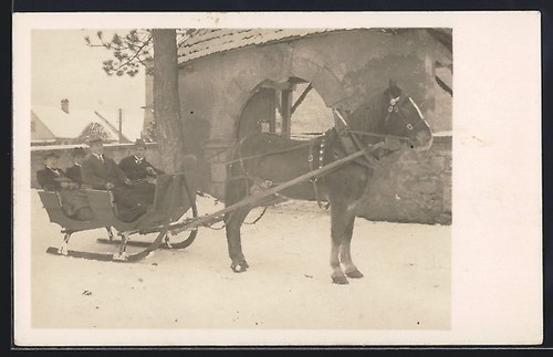 Horse drawn sleigh awaits - sleigh,