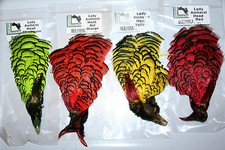 Fly Tying Hareline Amherst Pheasant Topping and Tippet complete dyed capes