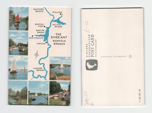 Postcard the river ant - postcard,