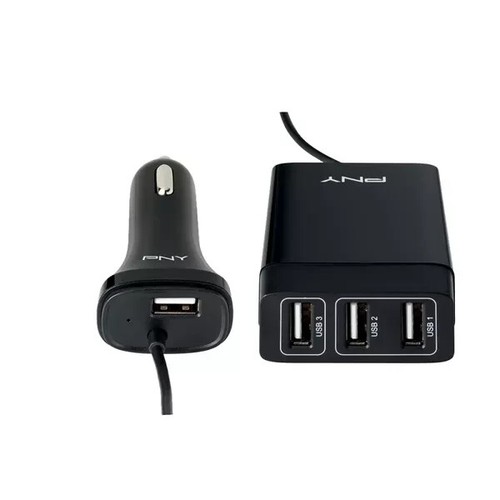 Pny the family car - car, charger