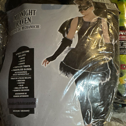 Midnight raven halloween - midnight,