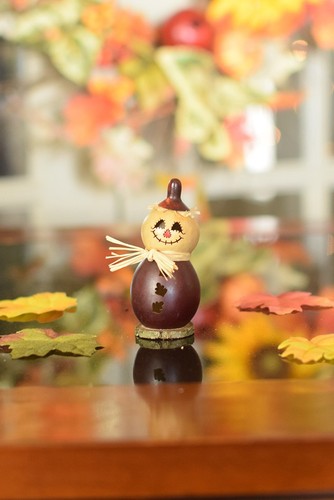 Meadowbrooke gourds hand - meadowbrooke,