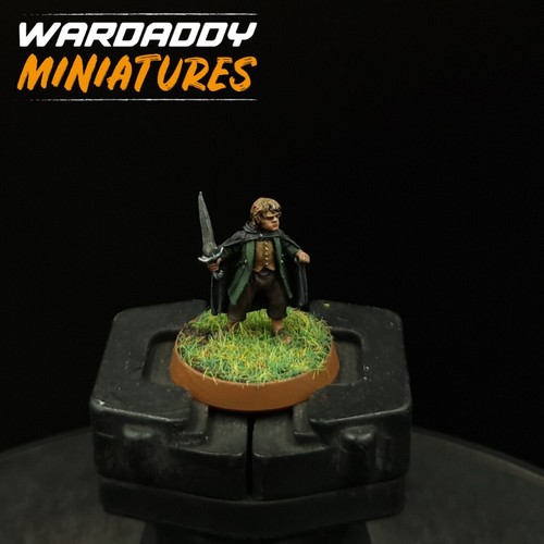 Pro painted warhammer lotr - pro,