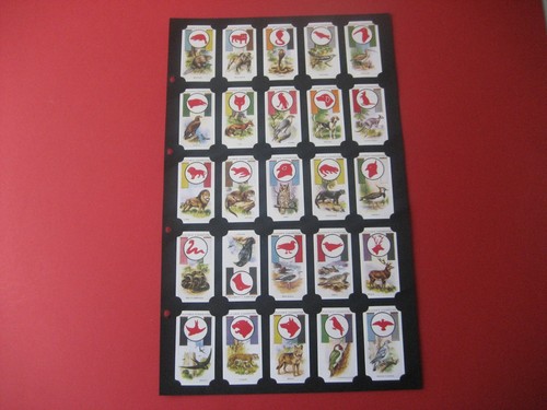 Card collectors society boy - society, "boy