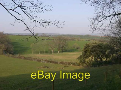 Photo 6x4 pasture land - photo,