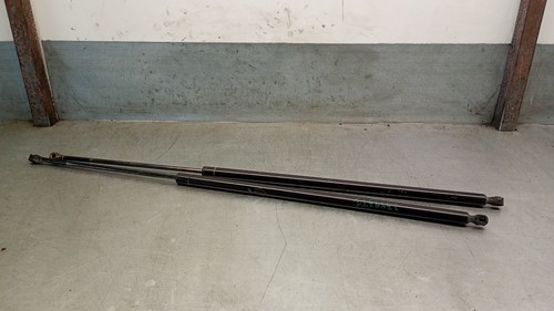 8200162697 tailgate gas strut - tailgate,