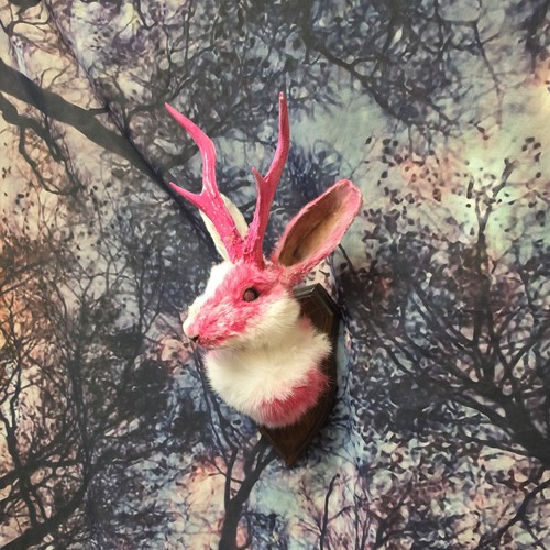 Pink harlequin jackalope - pink,