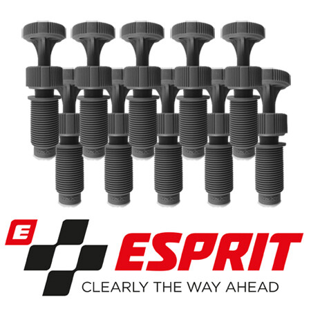 Esprit windscreen repair - windscreen,