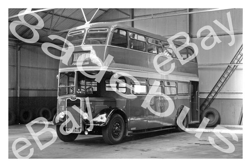 Bus photograph red white - red, &