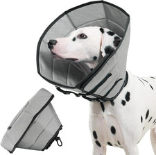 Soft Dog Cone after Surgery