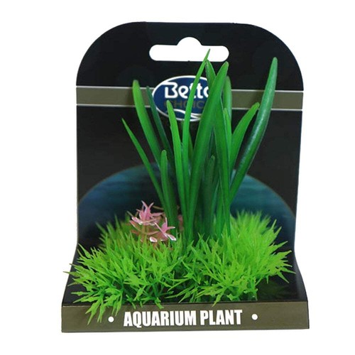 Betta choice mini - mini, aquarium