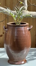 LARGE ANTIQUE FRENCH STONEWARE PLANTER URN, CONFIT JAR POT, SALTING JAR - H47cm