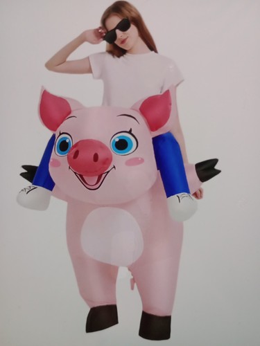 Inflamabile pig riding - inflamabile,