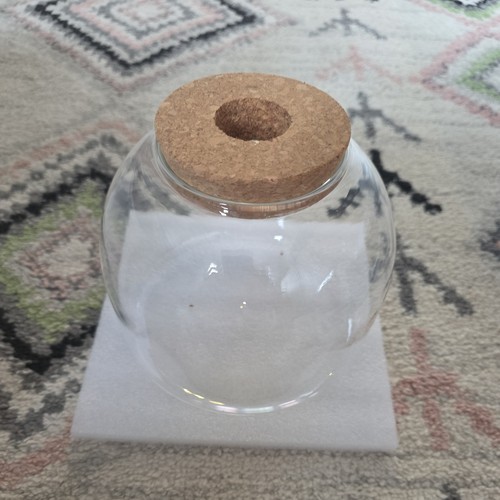 Reusable glass terrarium jar - reusable,