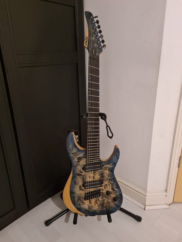Schecter reaper electric - schecter,