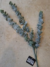 Abigail Ahern Faux Eucalyptus