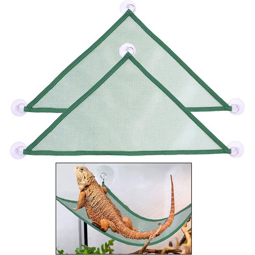 Bearded dragon hammock habitat - hammock,