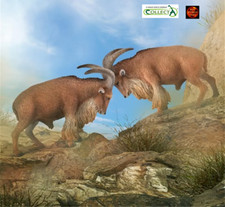 Barbary Sheep African Wildlife