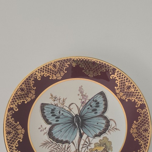 Ceramic round decorative plate - ceramic,
