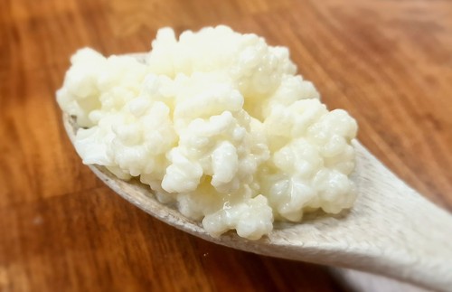 Live organic milk kefir - live,