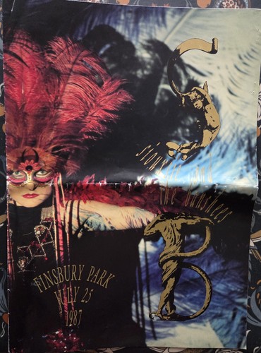 Siouxsie the banshees - the,