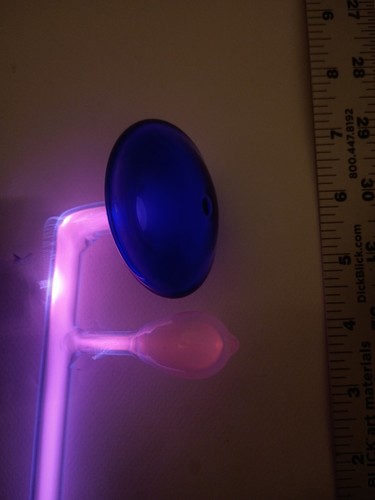 Violet wand ray - violet,