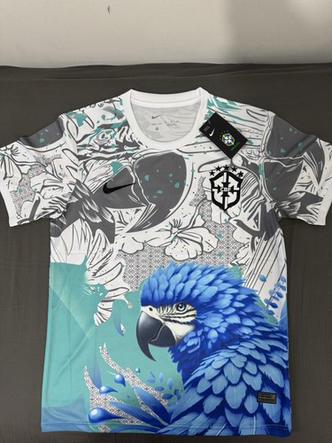 Brazilian parrot football - brazilian,
