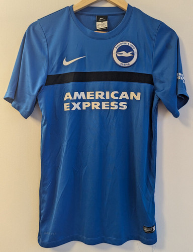 Brighton hove albion - brighton,