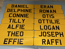 REFFLECTIVE PLATE bike