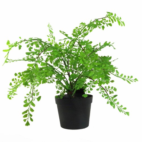 Artificial potted fern - potted,