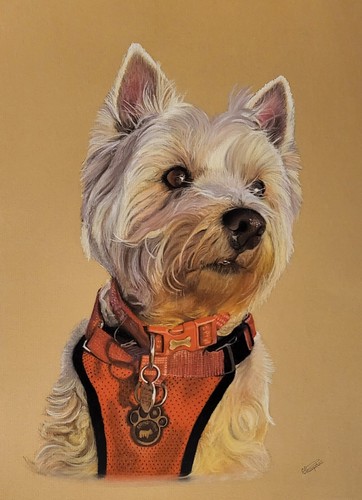 Hand drawn pet - hand, portrait